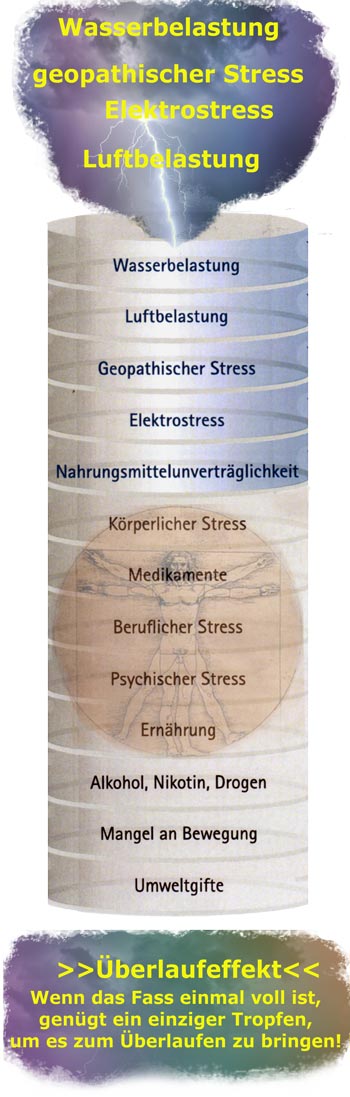 Das Fass der Stressresistenz