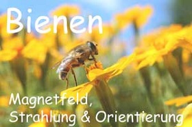 Bienen