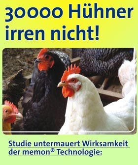 Huehner-Studie