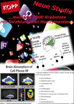 Kopp - Studie
