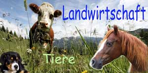 Landwirtschaft & Tiere