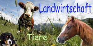 Landwirtschaft & Tiere