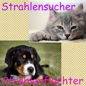 Strahlensucher - Strahlenflüchter