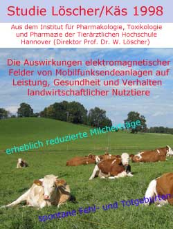 Studie Löscher-Käs